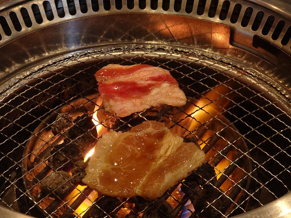 Two pieces of meat grilling on a wire grill over charcoal
